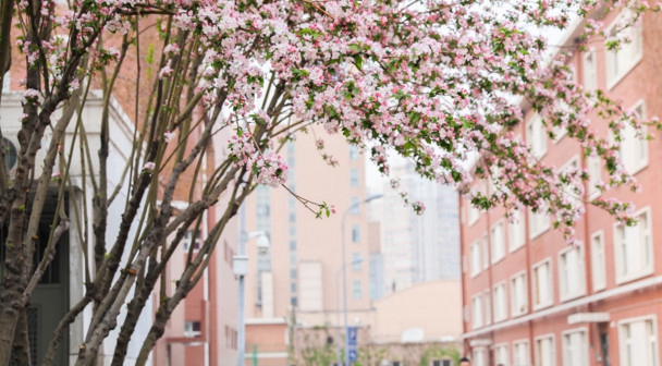 天津医科大学