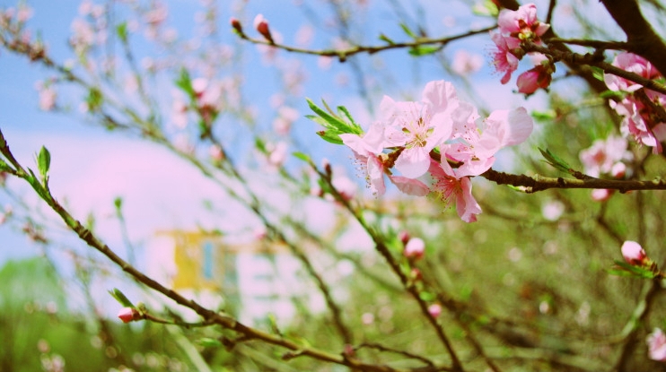 山西医科大学晋祠学院