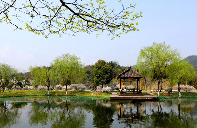 浙江工业大学药学院