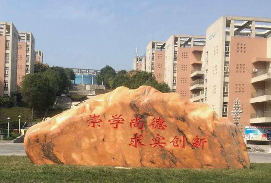 荆楚理工学院医学院