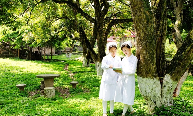 乐山市医药科技学校校园绿化