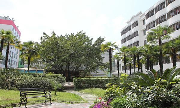 四川省卫生学校龙泉校区校园绿化（龙泉校区）