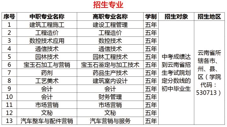 云南科技信息职业学院招生专业